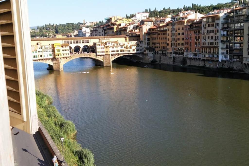 Pini * Florenz